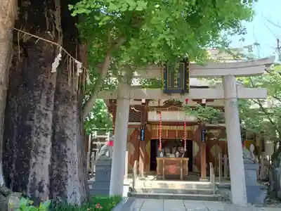 飛木稲荷神社(東京都)