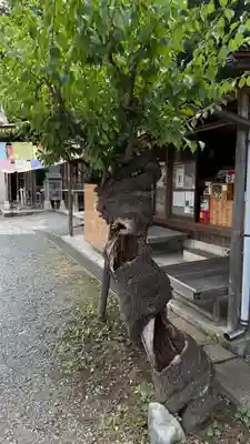 【公式】龍門院常楽寺（秩父札所十一番）(埼玉県)