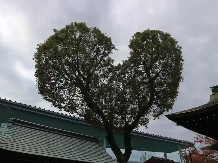 南宮宇佐八幡神社(脇浜神社)(兵庫県)