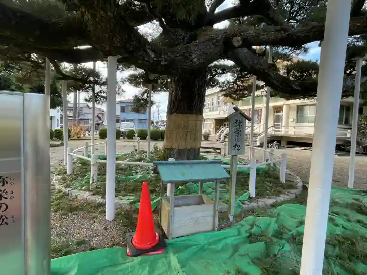 日保見山八幡宮の{uncategorized: "未分類", other: "その他", undefined: "問題あり", building: "その他建物", grave: "お墓", sacred_gate: "鳥居", guardian: "狛犬", statue: "像", buddha: "仏像", history: "歴史", nature: "自然", garden: "庭園", animal: "動物", pagoda: "塔", temizu: "手水舎", mountain_gate: "山門・神門", sanctuary: "本殿・本堂", subordinate: "末社・摂社", art: "芸術", scenery: "景色", jizo: "地蔵", ema: "絵馬", goshuin: "御朱印", omikuji: "おみくじ", items: "授与品その他", amulet: "お守り", goshuincho: "御朱印帳", eats: "食事", festival: "お祭り", votive_dance: "神楽", shichigosan: "七五三参", wedding: "結婚式", experience: "体験その他", initially: "初詣", around: "周辺", anti_infection: "感染症対策"}