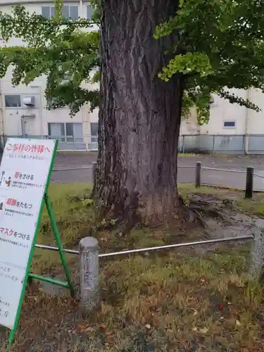 賀茂皇大神社(宮城県)