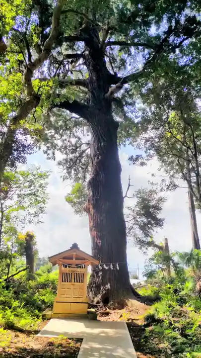 日吉神社(千葉県)