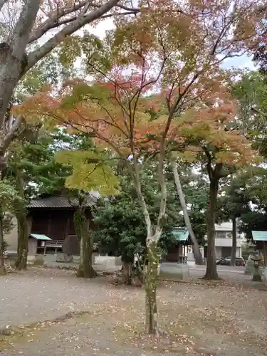 七社神社の自然
