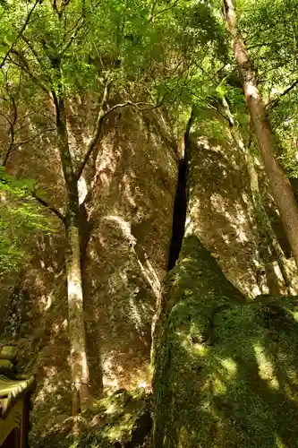 立岩神社(徳島県)