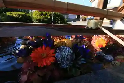 豊景神社の手水舎