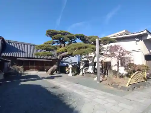 竜興寺(静岡県)