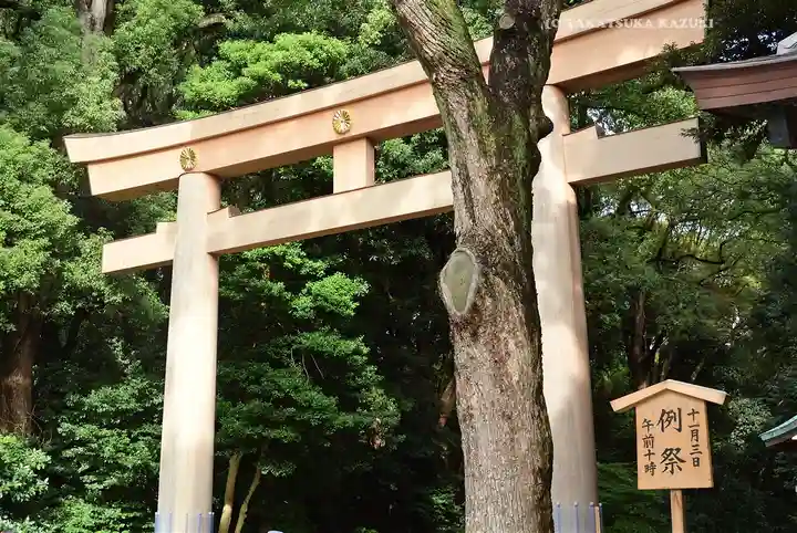 明治神宮(東京都)