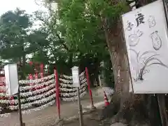 菅生神社のおみくじ