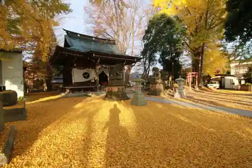 熊野福藏神社の景色