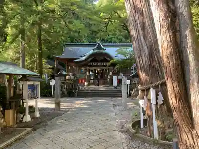 椙本神社(高知県)