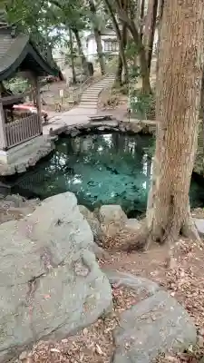 泉神社の{uncategorized: "未分類", other: "その他", undefined: "問題あり", building: "その他建物", grave: "お墓", sacred_gate: "鳥居", guardian: "狛犬", statue: "像", buddha: "仏像", history: "歴史", nature: "自然", garden: "庭園", animal: "動物", pagoda: "塔", temizu: "手水舎", mountain_gate: "山門・神門", sanctuary: "本殿・本堂", subordinate: "末社・摂社", art: "芸術", scenery: "景色", jizo: "地蔵", ema: "絵馬", goshuin: "御朱印", omikuji: "おみくじ", items: "授与品その他", amulet: "お守り", goshuincho: "御朱印帳", eats: "食事", festival: "お祭り", votive_dance: "神楽", shichigosan: "七五三参", wedding: "結婚式", experience: "体験その他", initially: "初詣", around: "周辺", anti_infection: "感染症対策"}