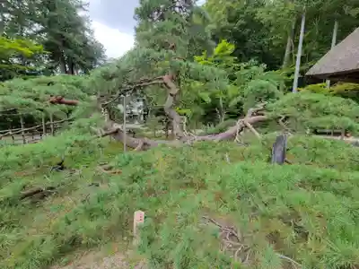 常楽寺(長野県)