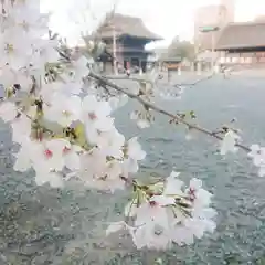 尾張大國霊神社（国府宮）の自然