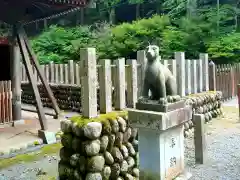 山住神社の狛犬