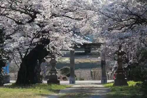 水天宮の鳥居