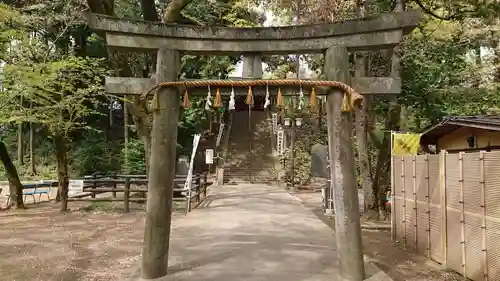 仙波東照宮の鳥居