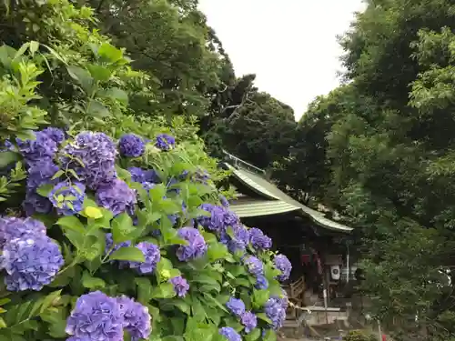 走水神社の自然