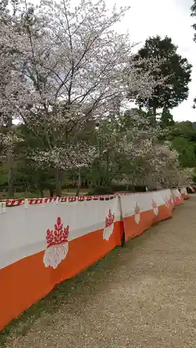 醍醐寺の自然