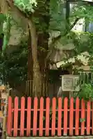 銀杏岡八幡神社の自然