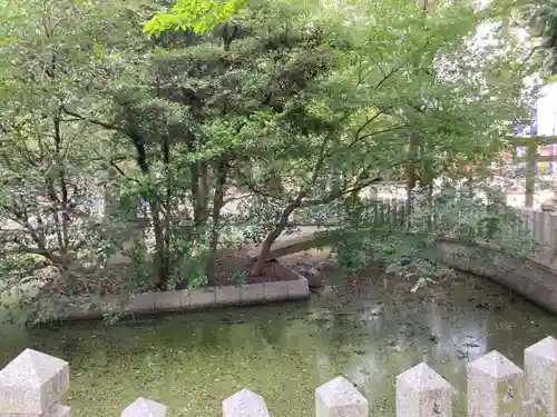泊神社(兵庫県)