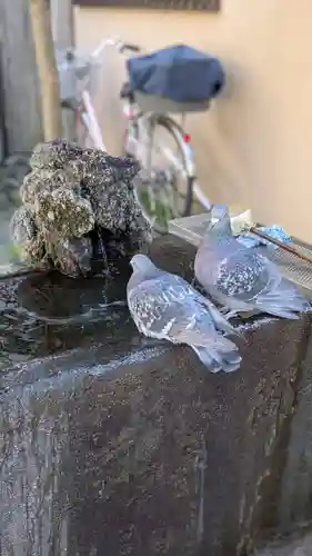 薬師神社(埼玉県)