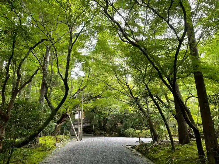 龍安寺(京都府)