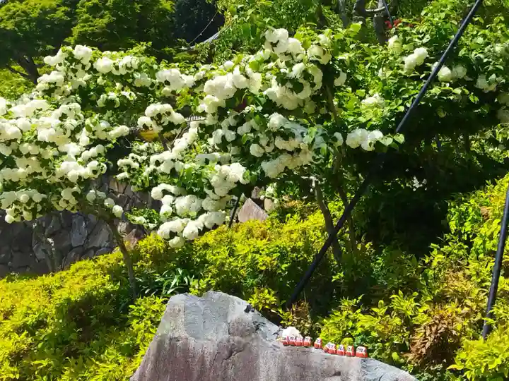 勝尾寺(大阪府)