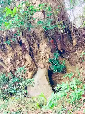 おかべ観音堂(千葉県)