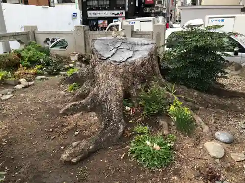 三輪神社の自然