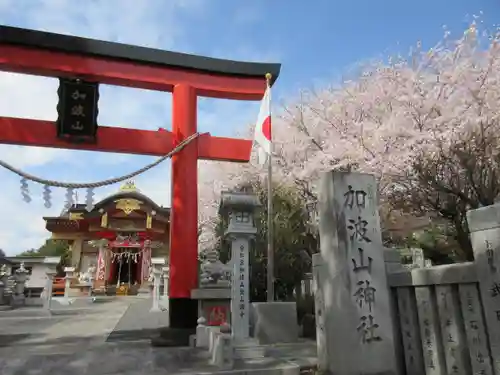 加波山神社真壁拝殿の鳥居