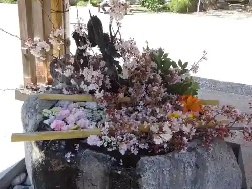 出雲大社相模分祠の手水舎