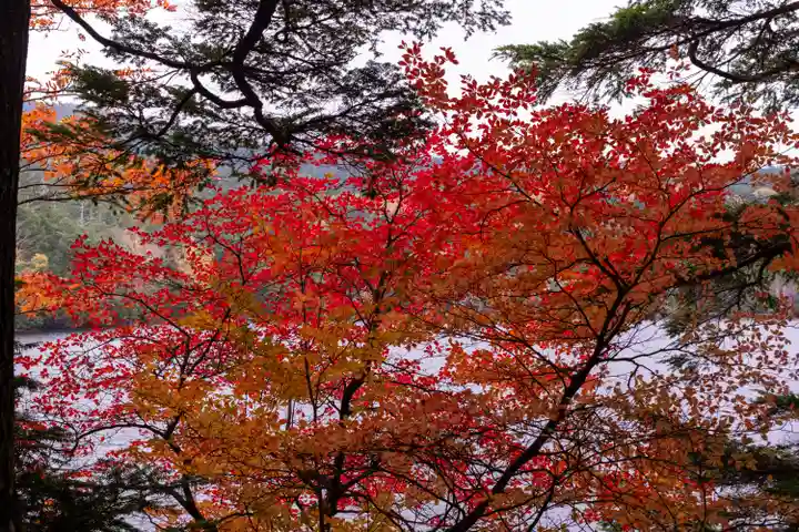 大瀧神社(長野県)