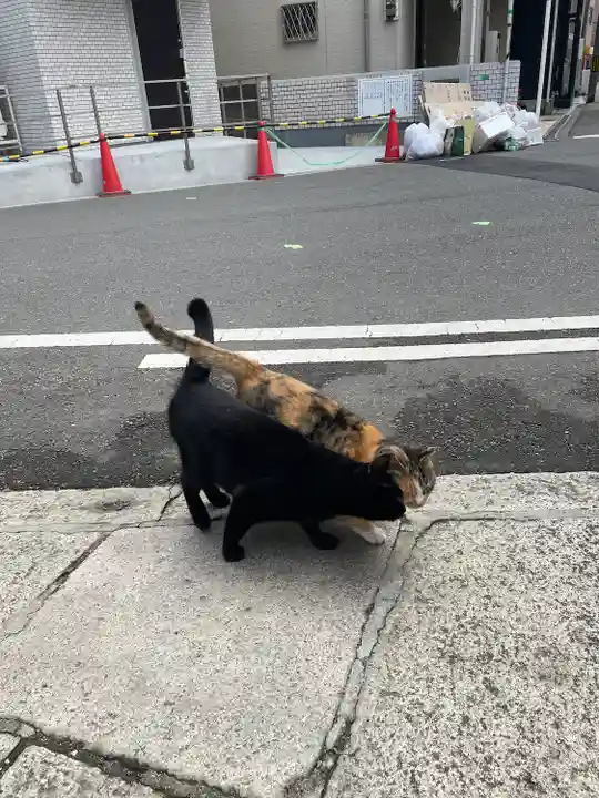 西九條神社の動物
