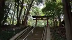 氷川女體神社(埼玉県)