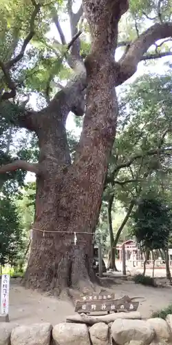 日野神社(兵庫県)