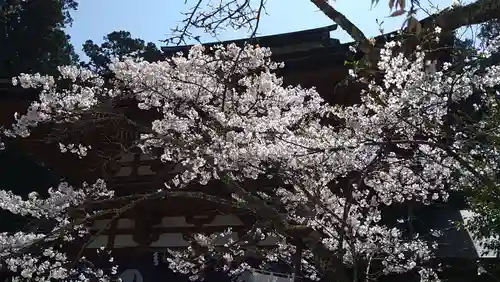 丹生都比売神社(和歌山県)
