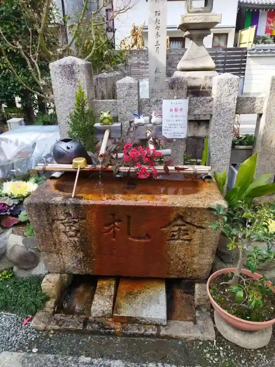 金札宮の手水舎