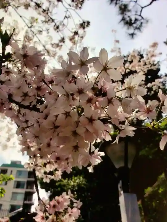 乃木神社(東京都)
