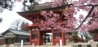 不動院(板橋不動尊)の山門・神門