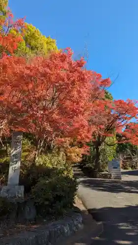 曼殊院門跡(京都府)