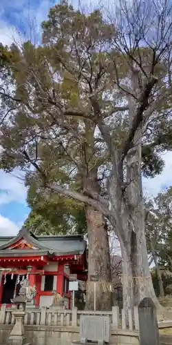十九神社(兵庫県)