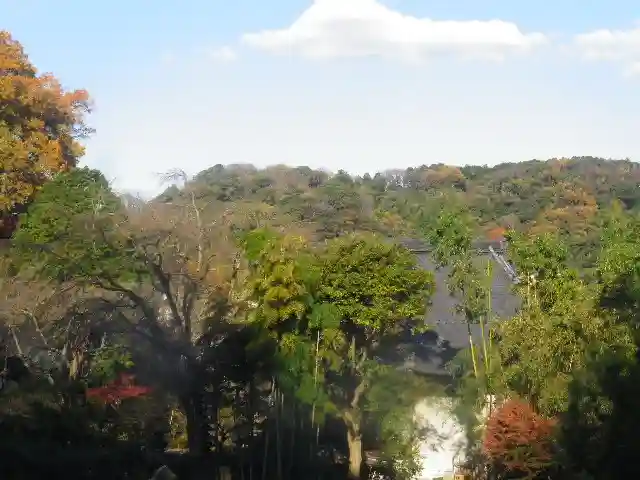 安國論寺(安国論寺)の自然