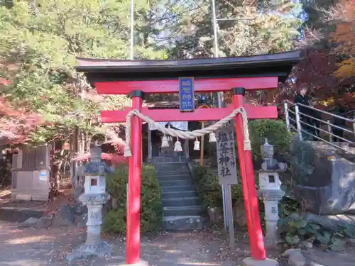 新倉富士浅間神社(山梨県)