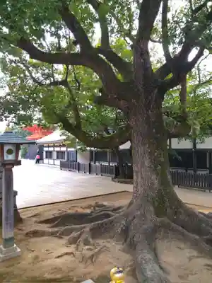 穴八幡宮のその他建物