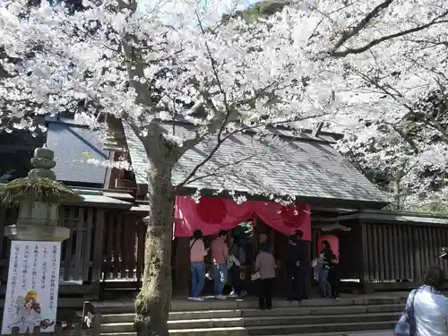 金崎宮の建物その他