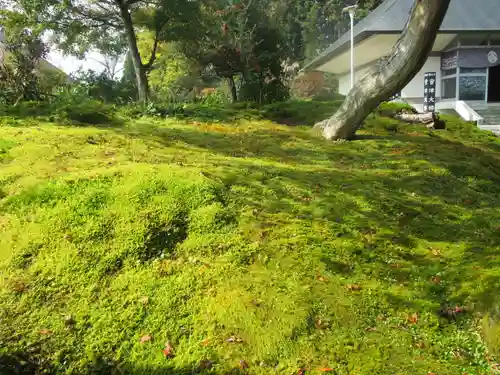 願成寺の庭園