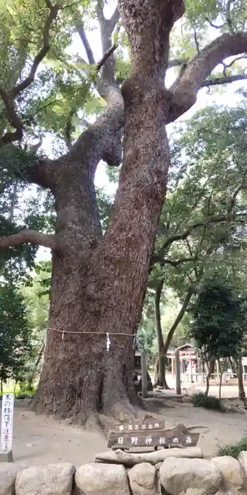 日野神社(兵庫県)