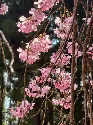 蚊里田八幡宮(長野県)