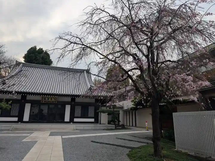 観音寺(東京都)