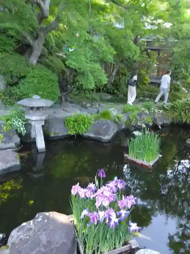 長谷寺(神奈川県)